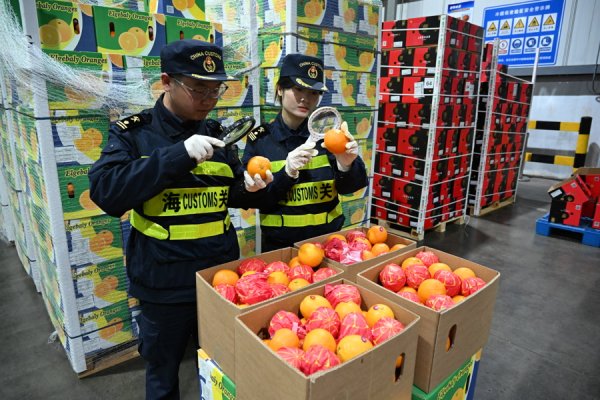 对非洲20国零关税首日：埃及鲜橙抢登上海，南非肯尼亚跟进，全年六千吨！